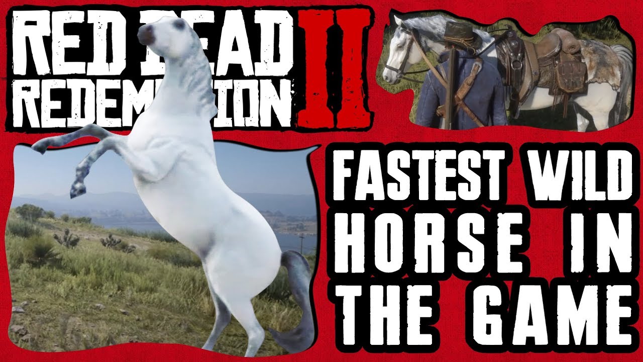 HOW & WHERE TO GET THE FASTEST WILD HORSE IN RED DEAD REDEMPTION 2