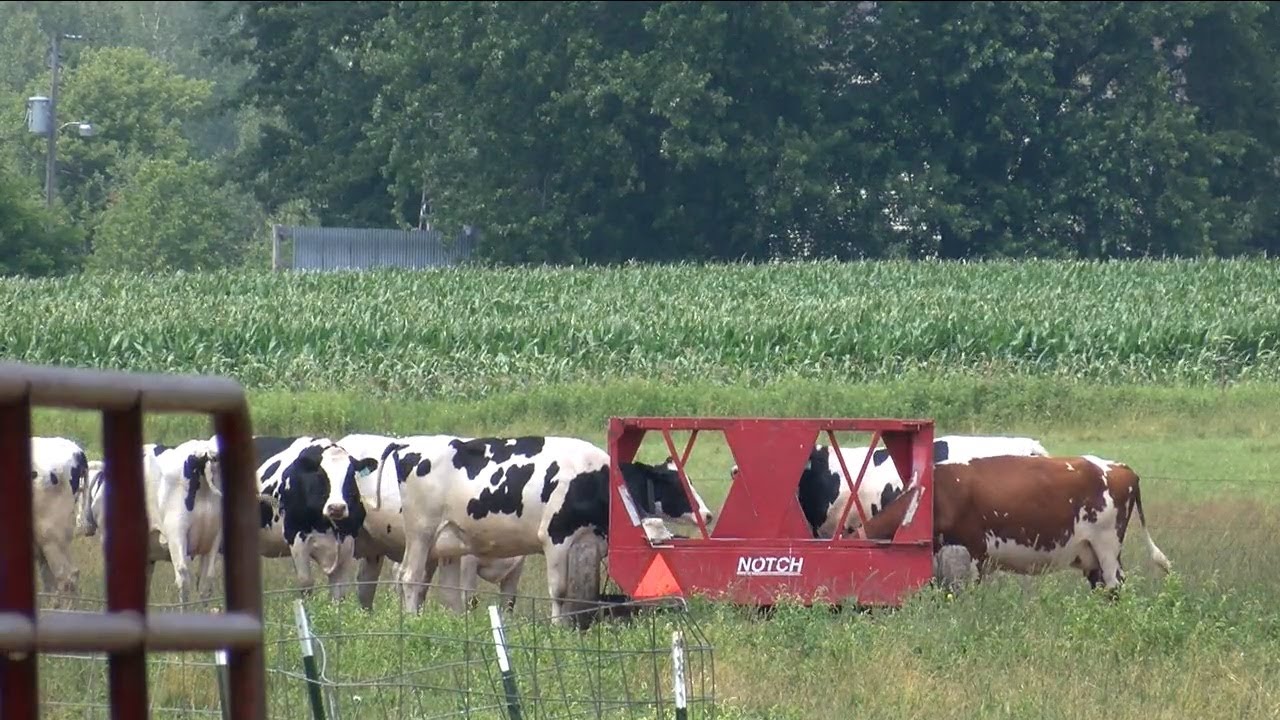 Farmers see milk prices drop