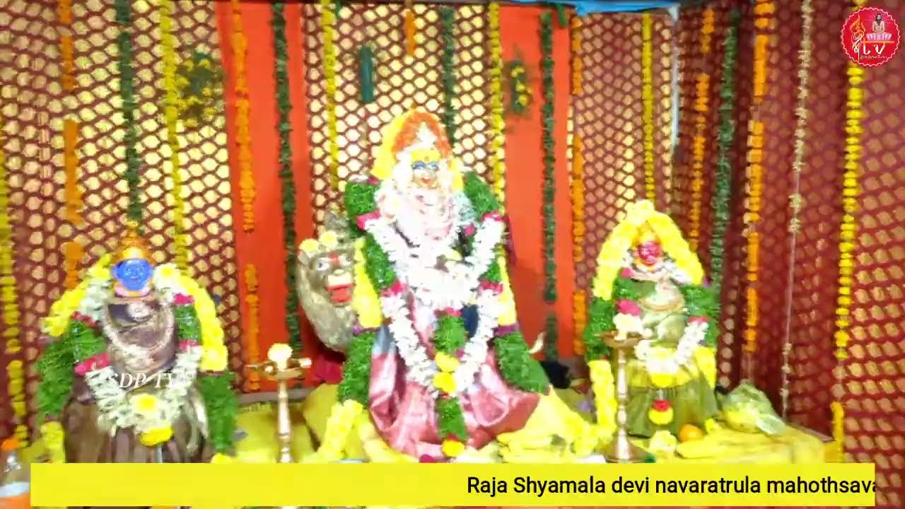 రాజా శ్యామలా దేవి నవరాత్రుల మహోత్సవముల సందర్భంగా పూజా కార్యక్రమం7వ రోజు