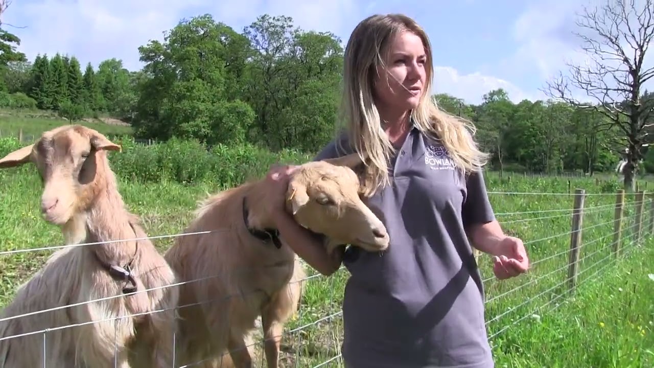 Eco Escapes Bowland Wild Boar Park