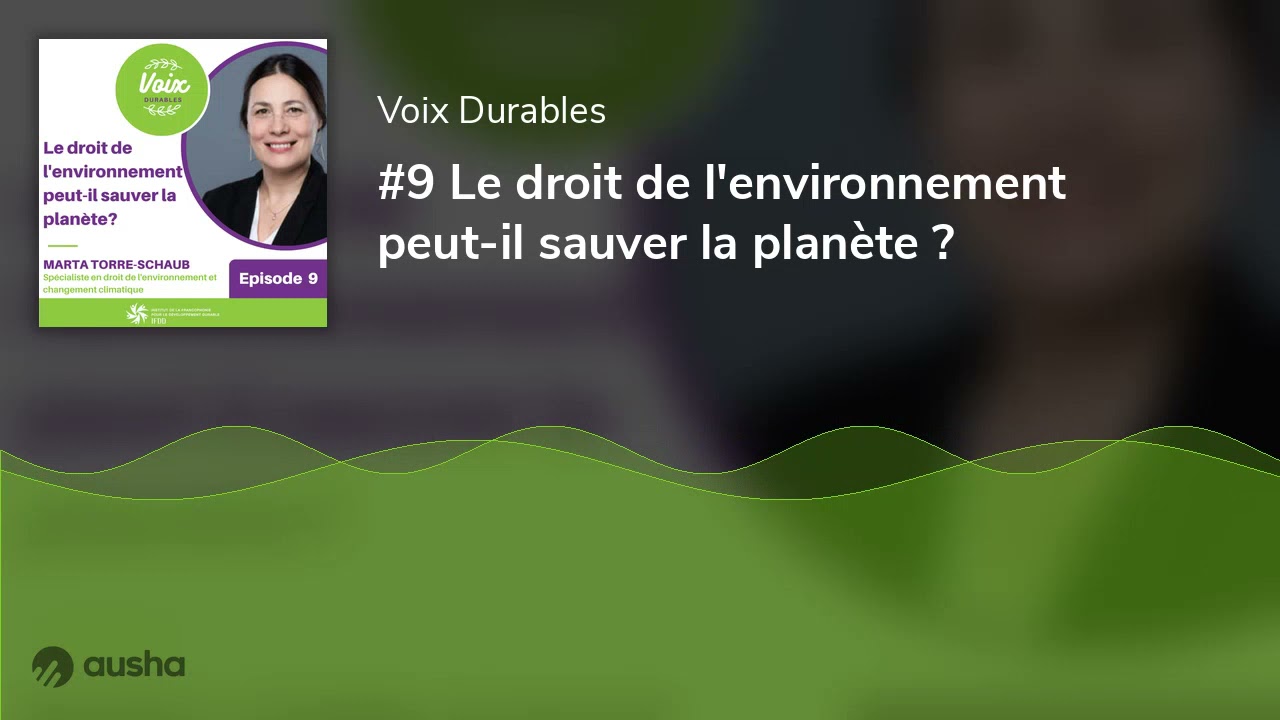 #9 Le droit de l'environnement peut-il sauver la planète ?