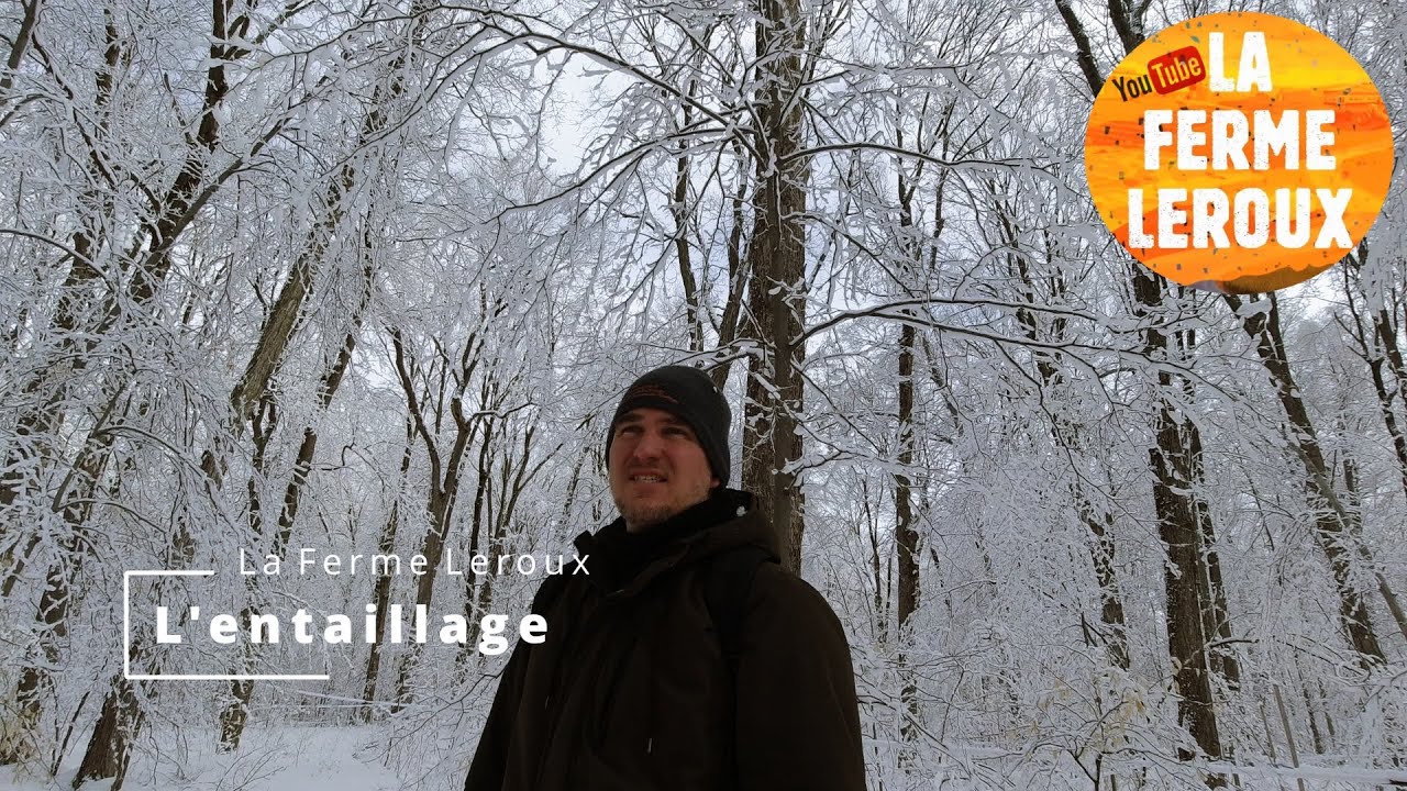 L'Entaillage une Direction une Destination!