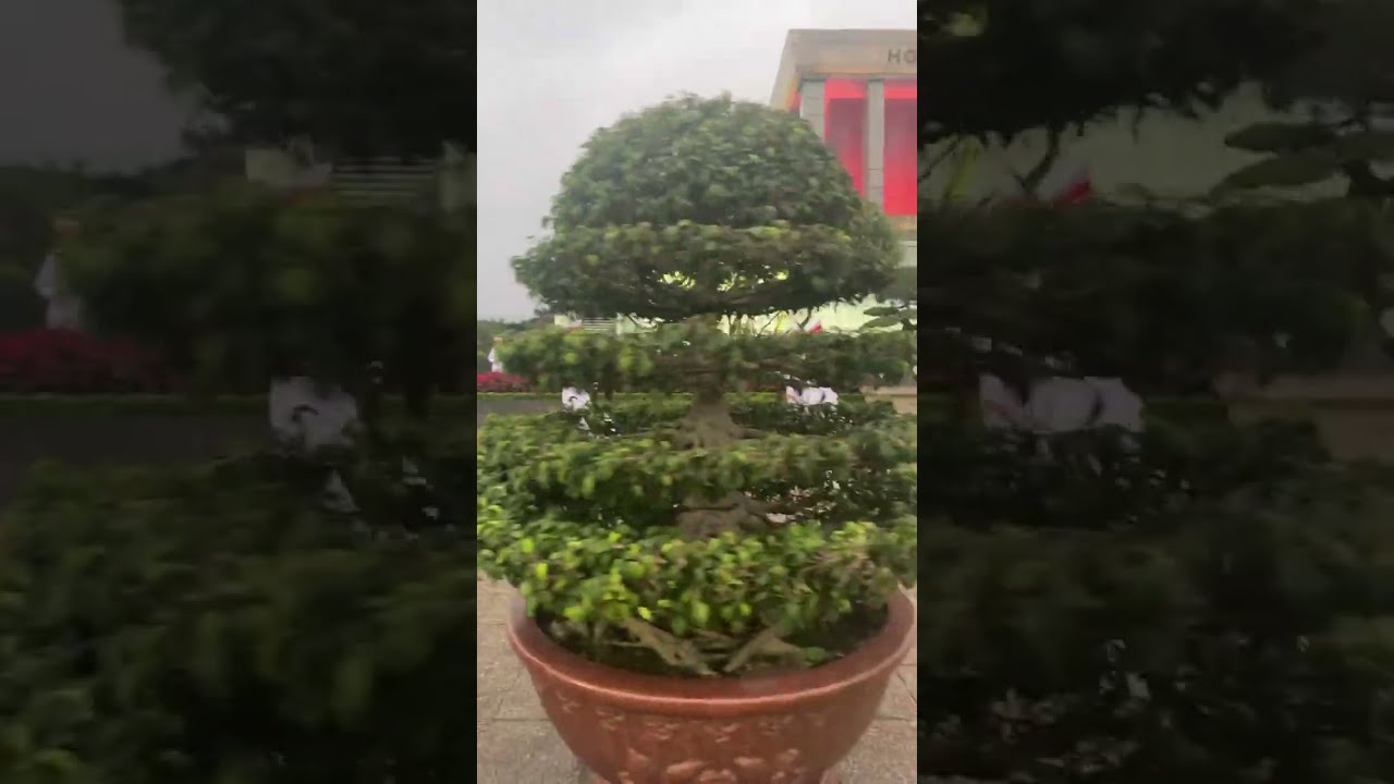 Nghi lễ Thượng cờ quốc gia, sáng 18/3/2026, tại Quảng trường Ba Đình, Hà Nội, Việt Nam