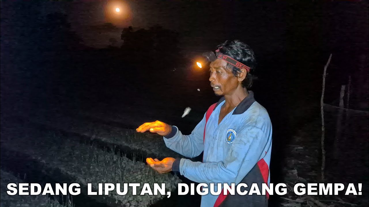 AIR PASANG TINGGI MENGUJI TANGGUL BARU @WANI RANTAU , CERITA LAHAN TRANSMIGRASI PESISIR KALIMANTAN