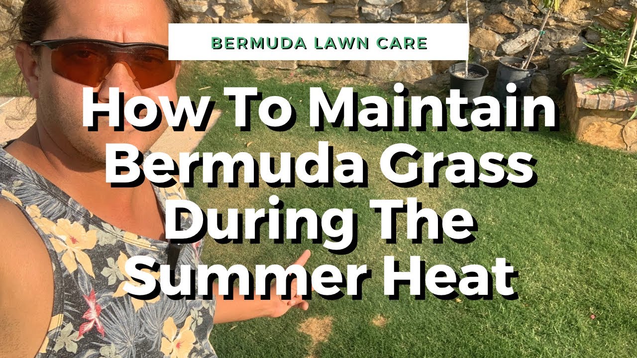 How To Maintain Bermuda Grass During The Summer Heat
