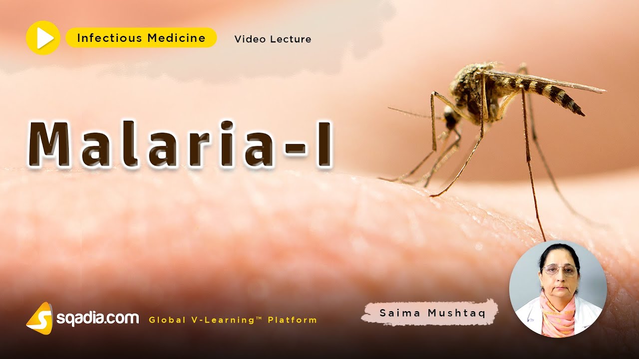 Malaria | Clinical Medicine Lectures | Medical Students | V-Learning | sqadia.com