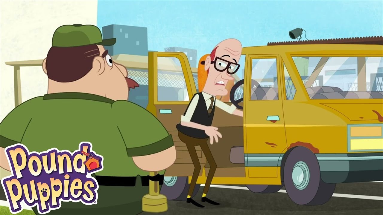 Pound Puppies | McLeish Unleashed | Season 1 | Pet Cartoon