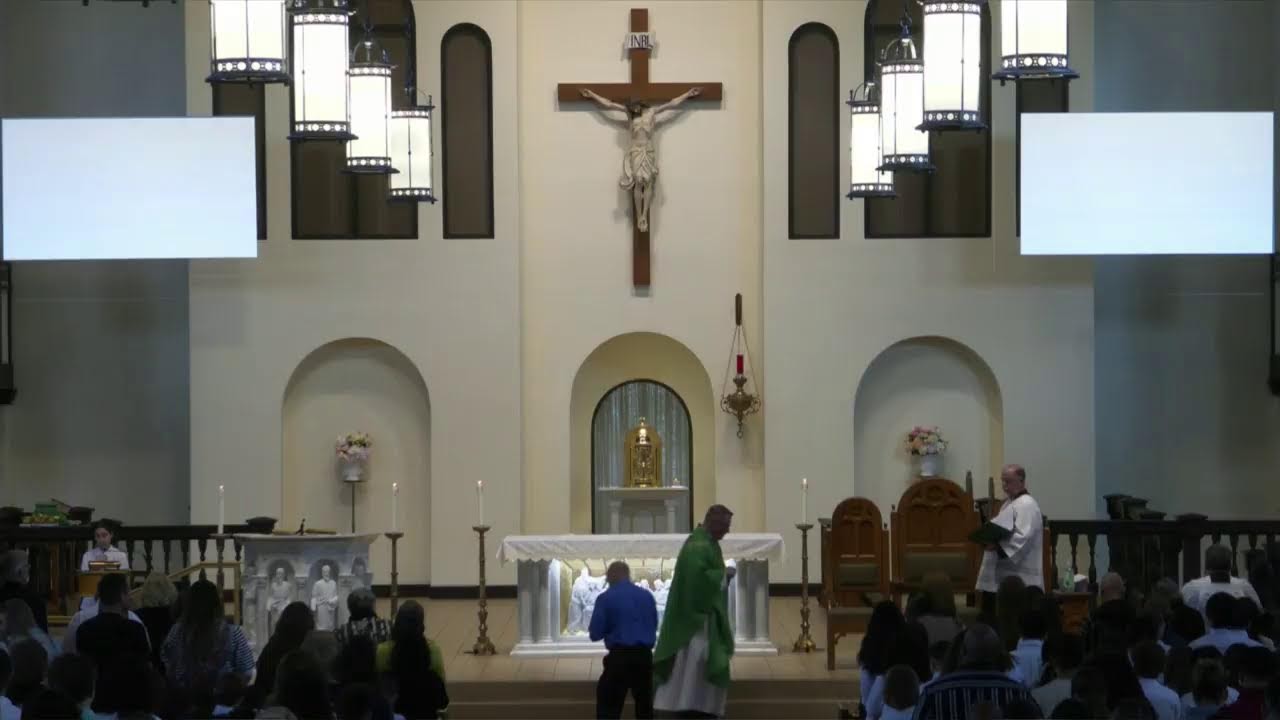 3rd Sundary of Ordinary Time | January 25, 2026