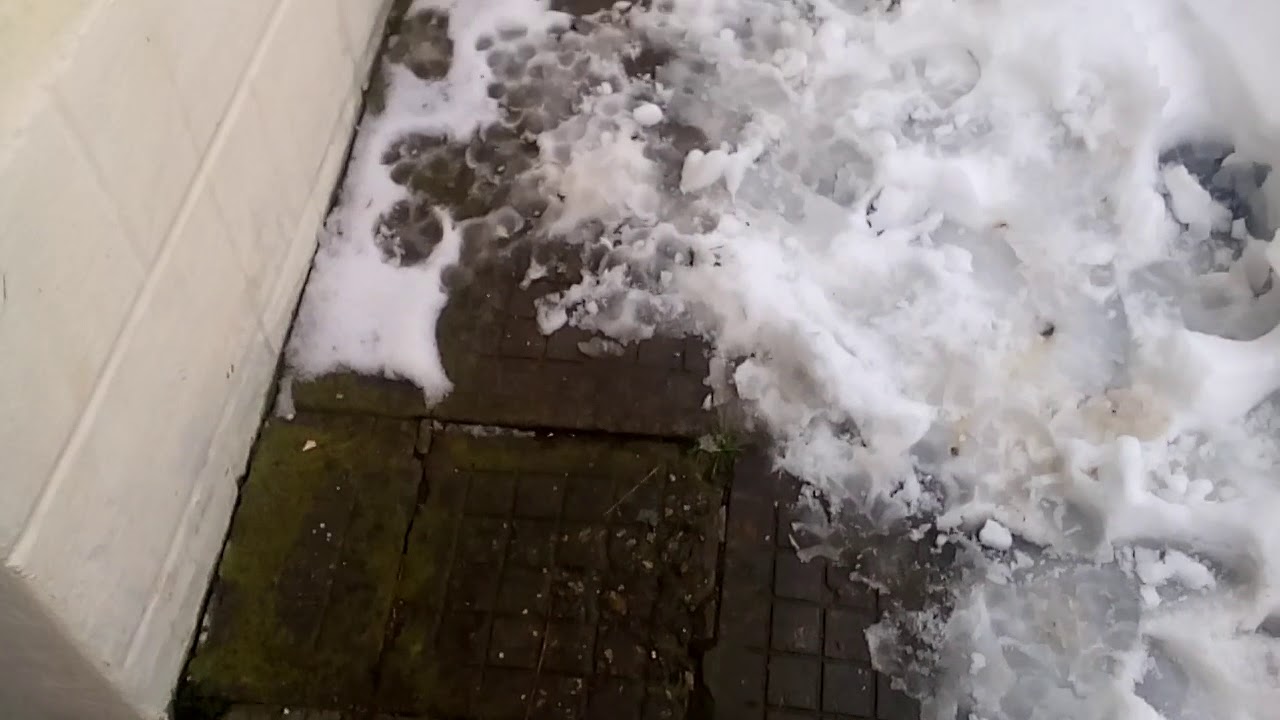 VID 20180303 004656