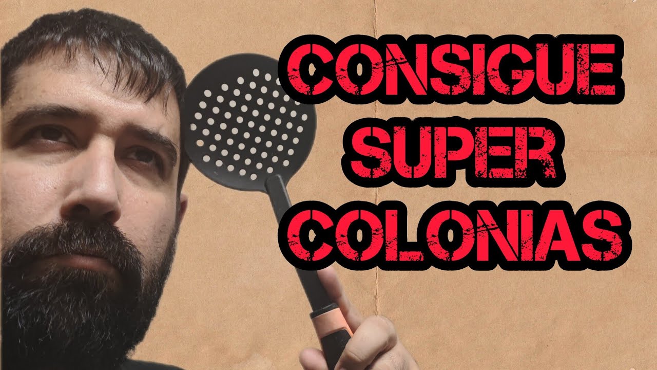 Líquido Proteico y Tortilla de Azúcar 👨‍🍳 ALTA COCINA para nuestras COLONIAS DE HORMIGAS 🐜
