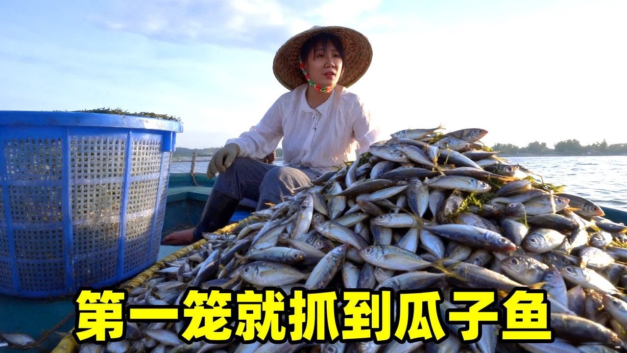第一笼开门红，九笼爆满鱼获满舱，码头变现好几百！阿渔妹满载而归！【阿渔妹】