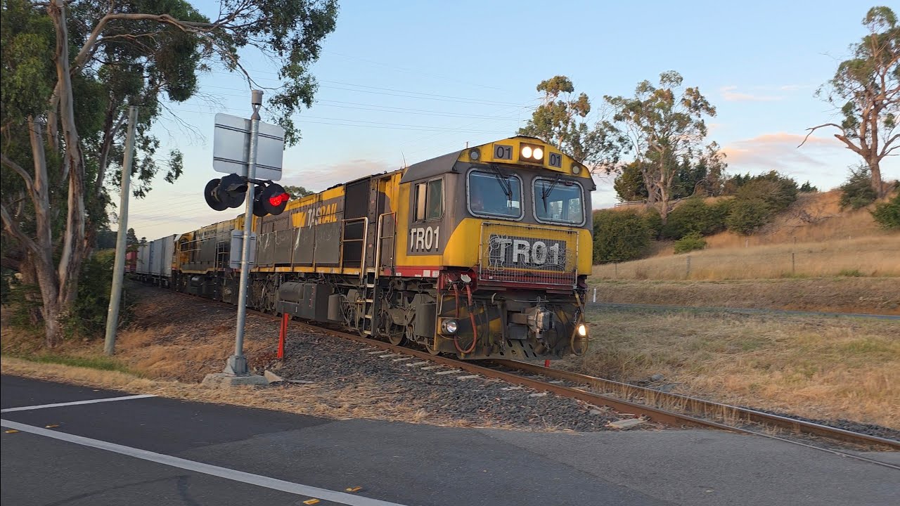 TasRail TR01 TR02 #33 train crossing Opossum Road