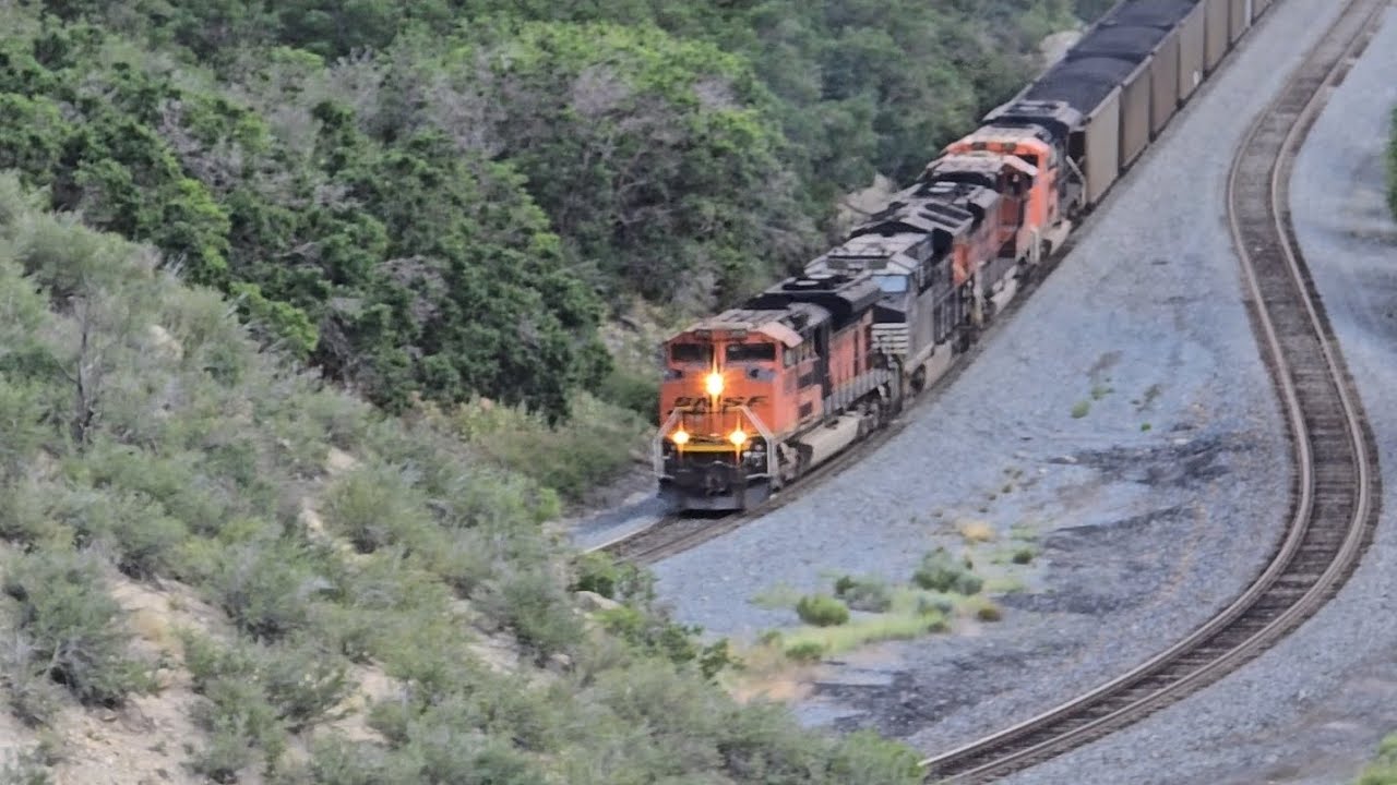 A BNSF coal train fighting the grade climbing up Soldier Summit.
