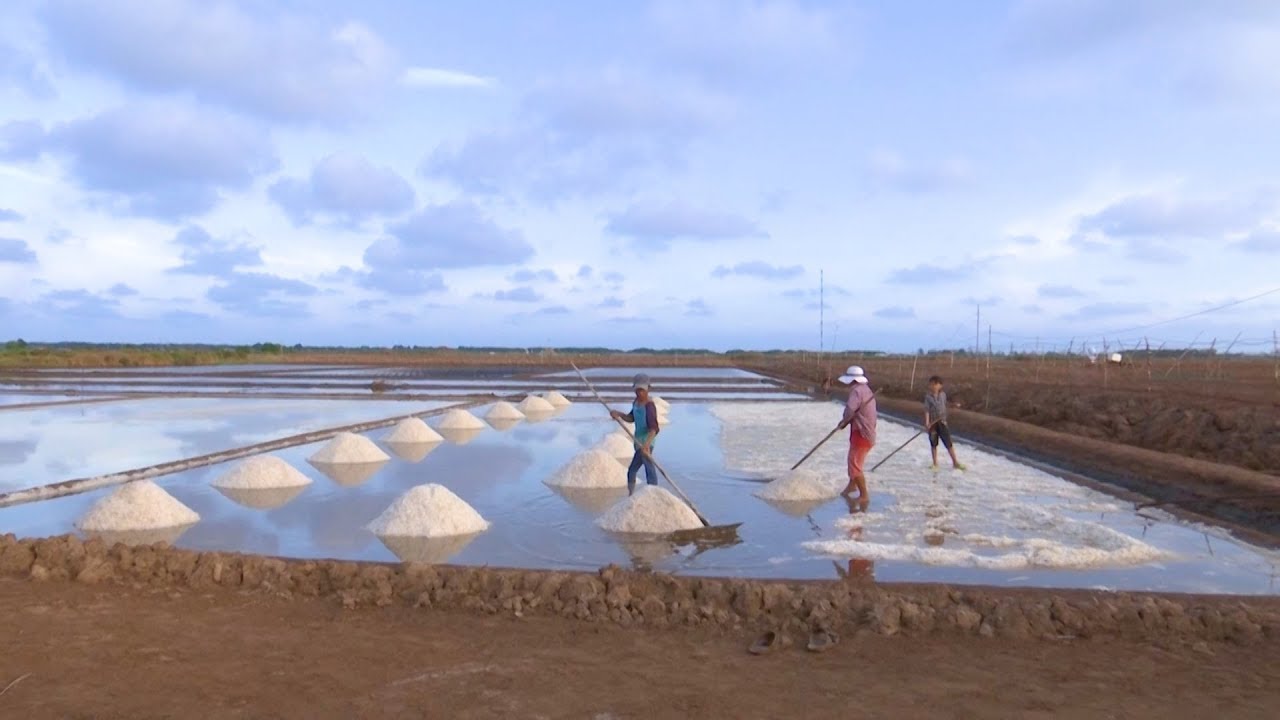 Sông nước Miệt vườn: Mặn mòi hạt muối Bạc Liêu