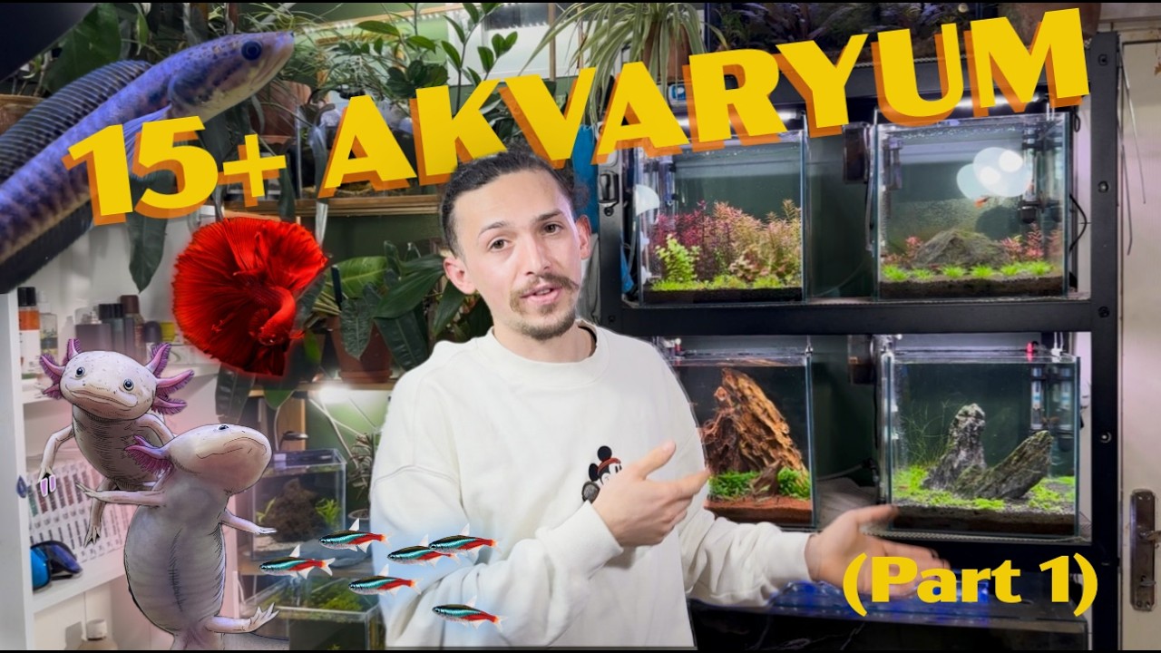 Akvaryum Oda Turu (Part 1)