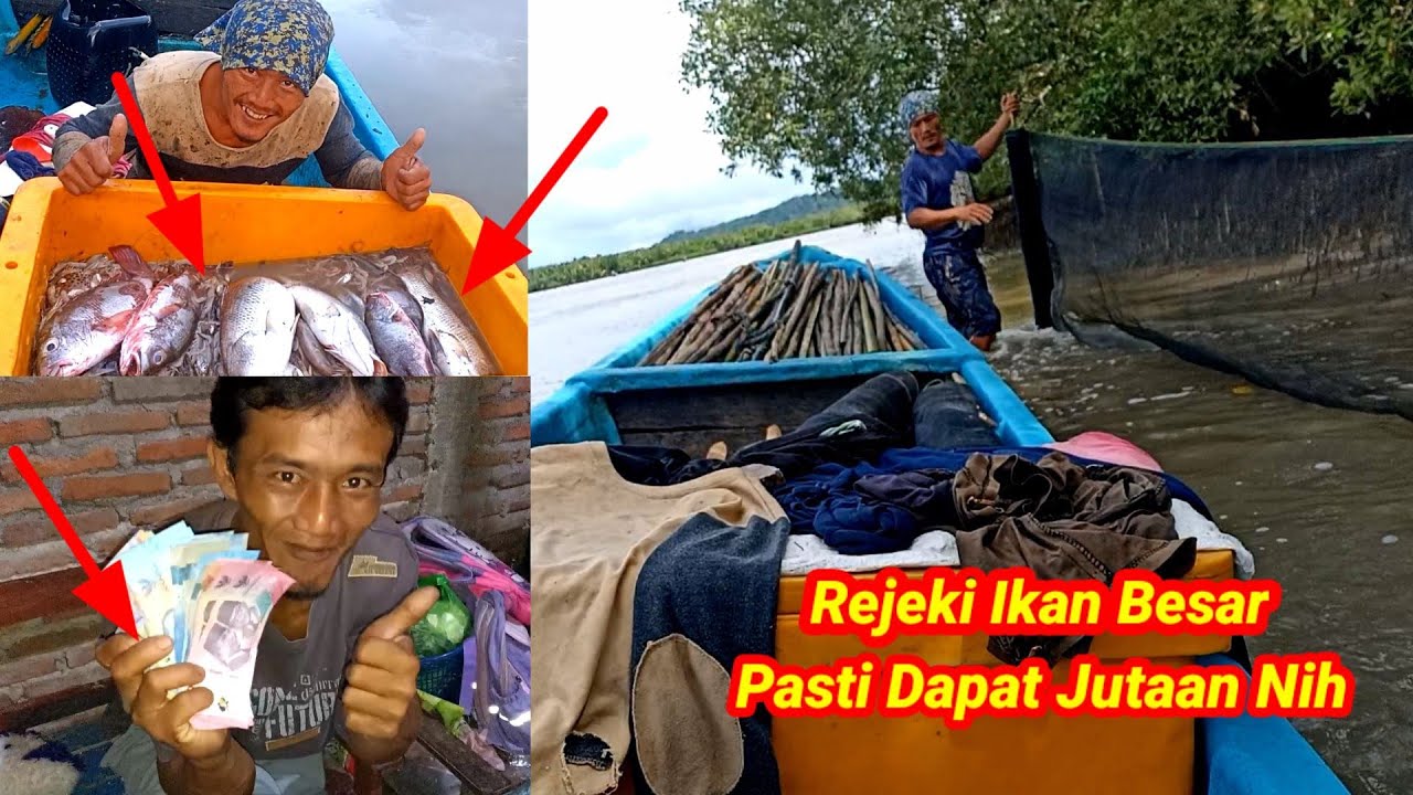 Pasang Perangkap Bermalam Dapat Ikan Kakap Besar Langsung Jual dan Masak