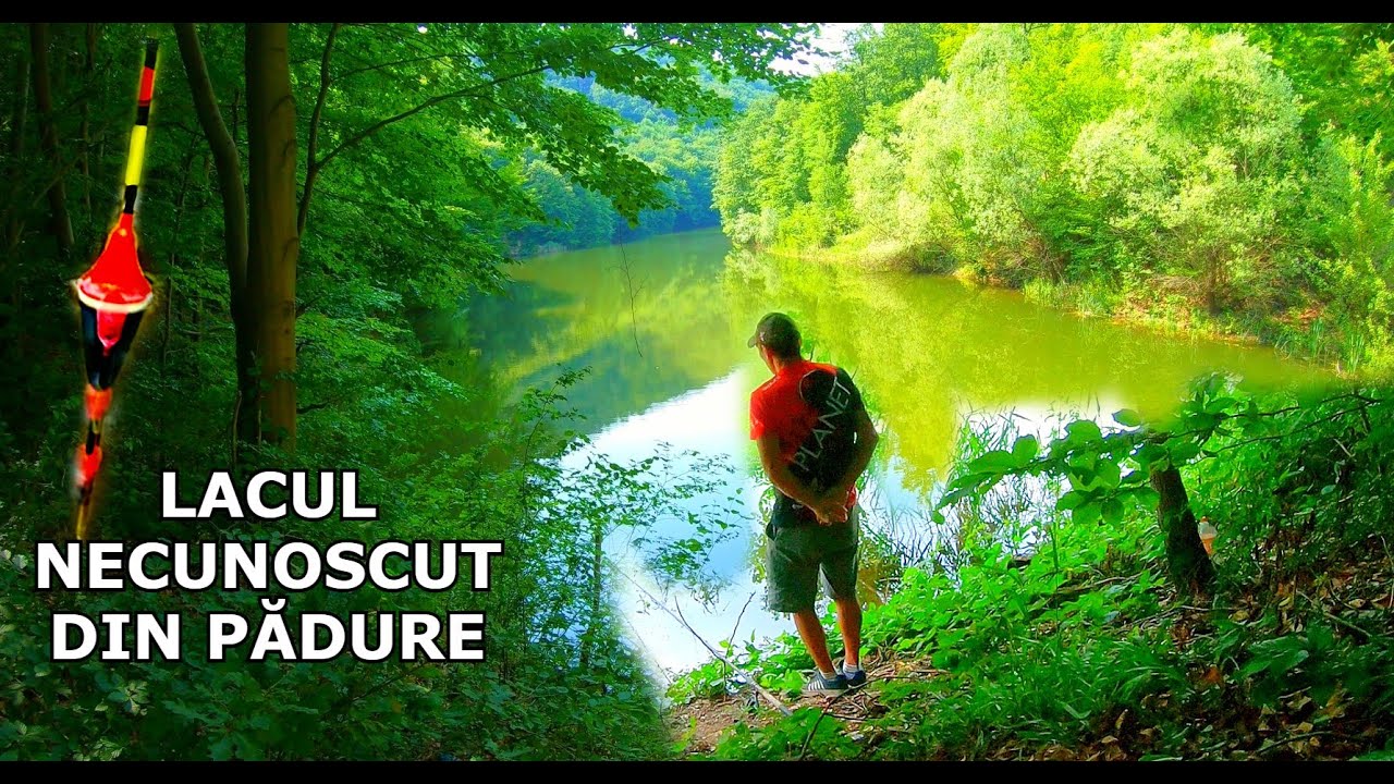 Am Pescuit La un LAC NECUNOSCUT SUPERB in MIJLOCUL PADURII si am prins Cea mai mare REGINĂ La Pluta