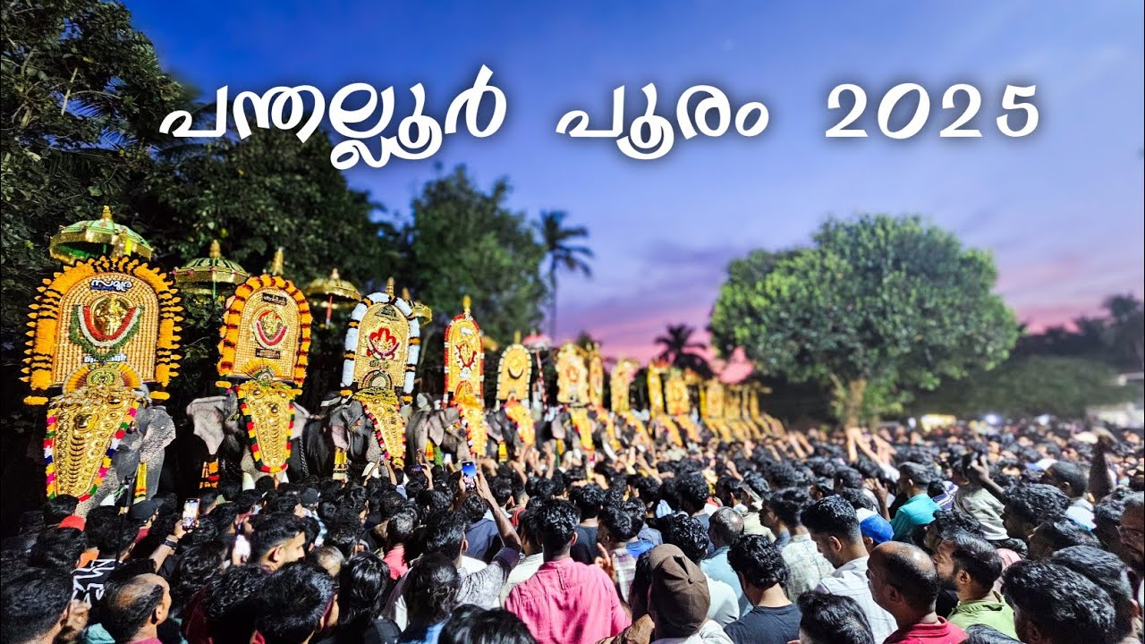 Pathallur Pooram 2025 | Vlog | കാണാം അണിനിരന്ന ഗജവീരന്മാരെയും പൂരക്കാഴ്ചകളും | Nikhil Thamarassery