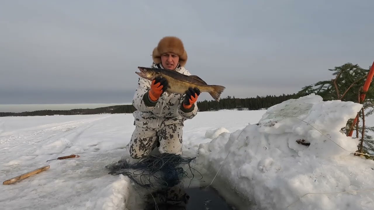 @verkkolive Kausi jatkuu sairastelun jälkeen.