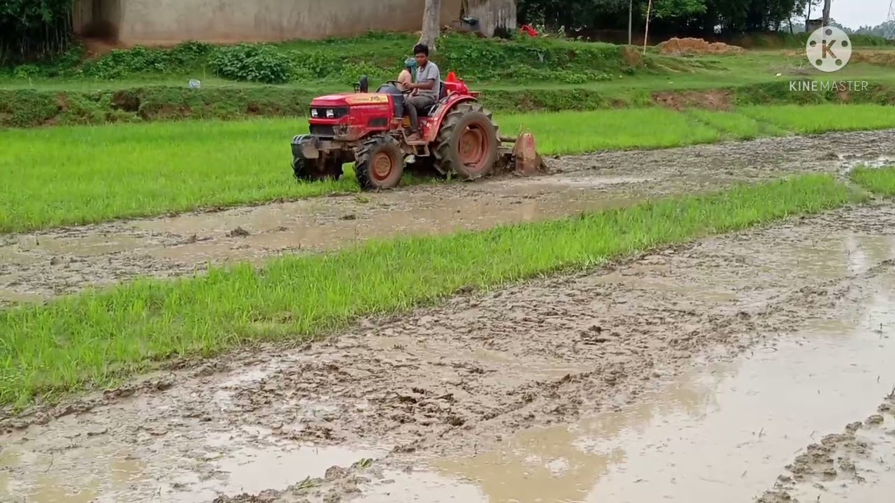 Mahindra jivo 365di 4wd pudding master | new model 2021 | 5 feet rotavator | GB Strikz |