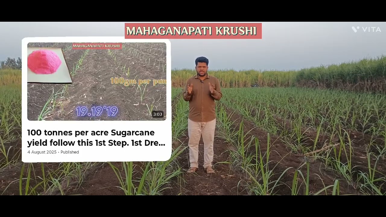 Irrigation management in Sugarcane cultivation for one month.