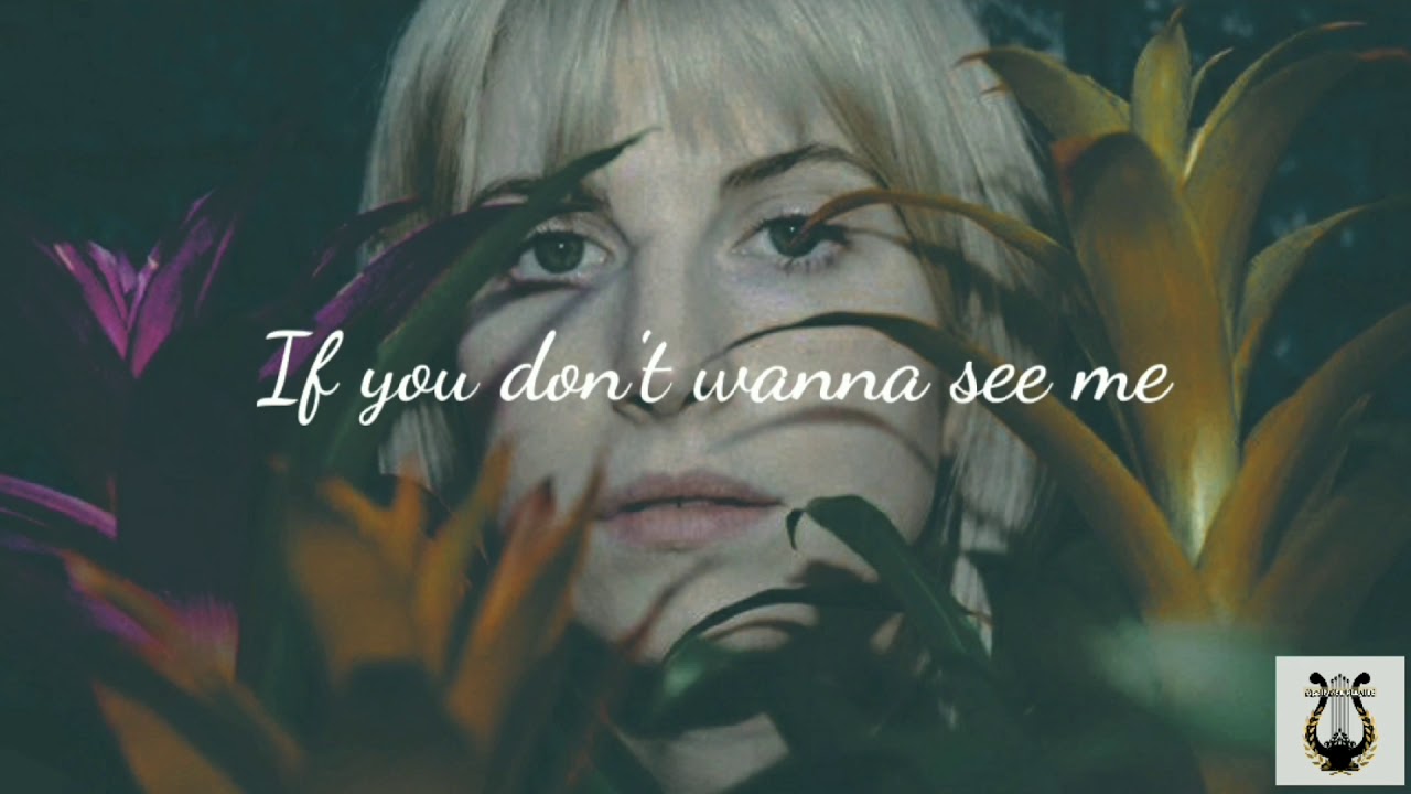 Don't Start Now - Hayley Williams Karaoke/Instrumental