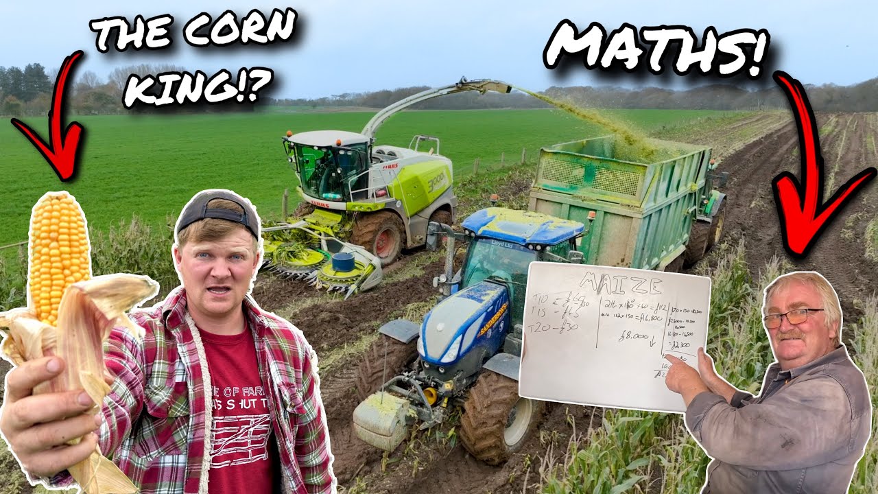 WAS IT WORTH THE £25,000 RISK!?... WE CRUNCH ALL THE NUMBERS!!