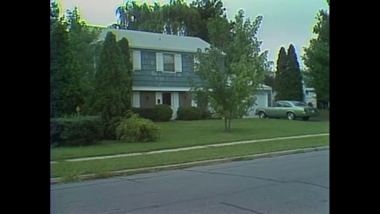 New Jersey Suburbs, 1981