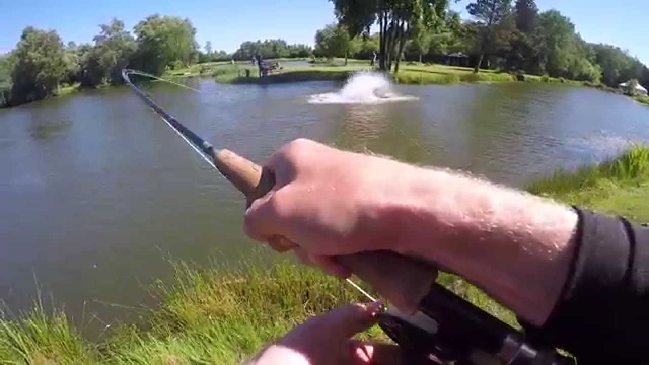 Herning Fiskepark - Juli 2015