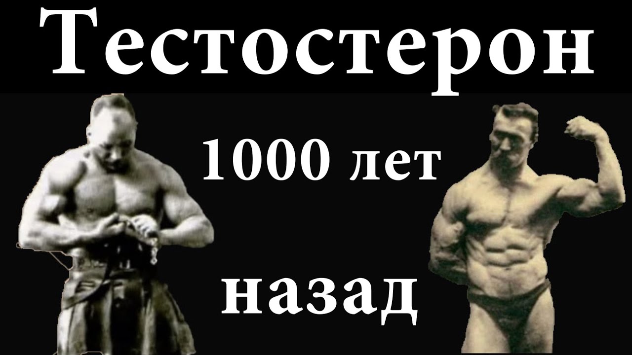 Тестостерон 100 лет назад. Почему упал главный мужской гормон?