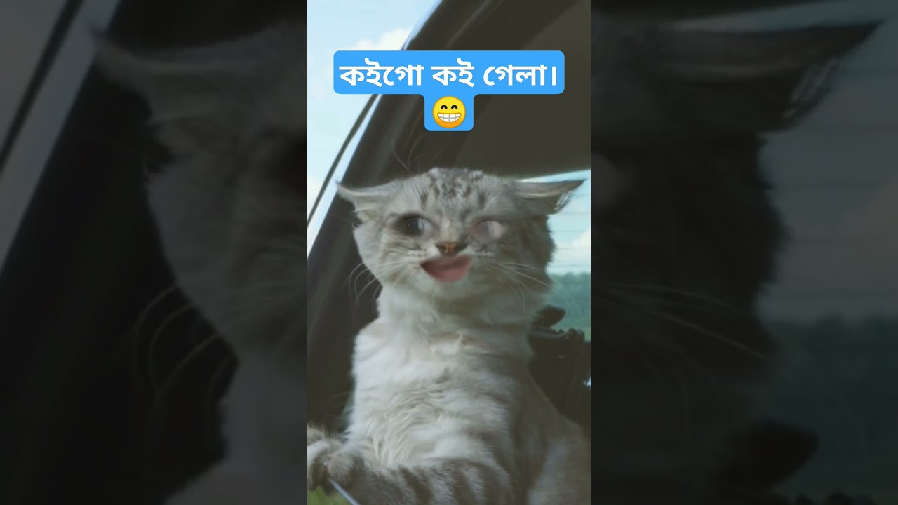 কইগো কইগেলা তুমি 