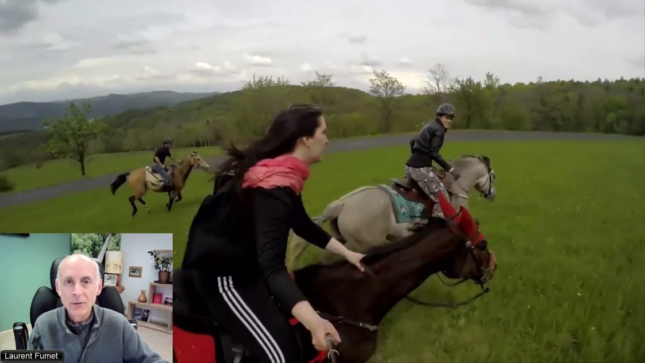 Comment ralentir un cheval qui embarque au galop