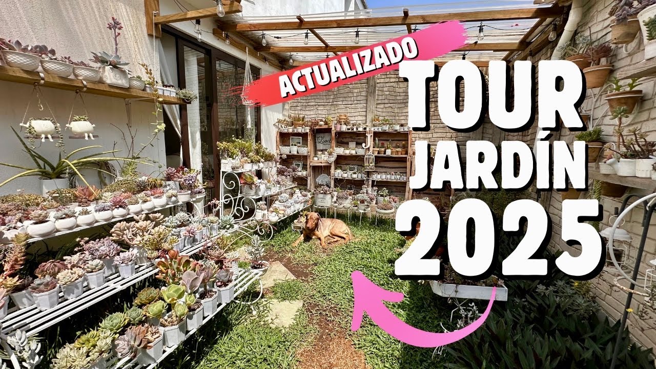 🏡TOUR 2025: actualización de mi JARDÍN VINTAGE de suculentas y de todas las PLANTAS de mi casa🤩
