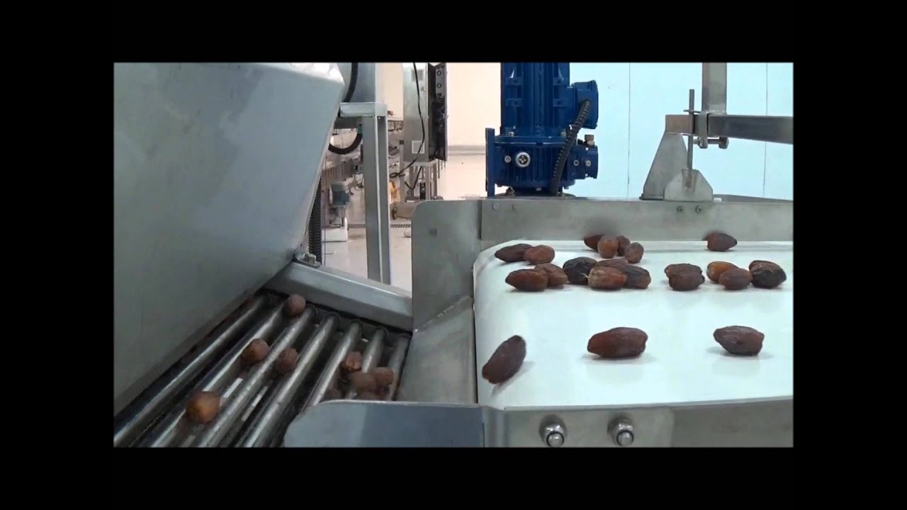 Dates Grading Line - Lateral Discharge