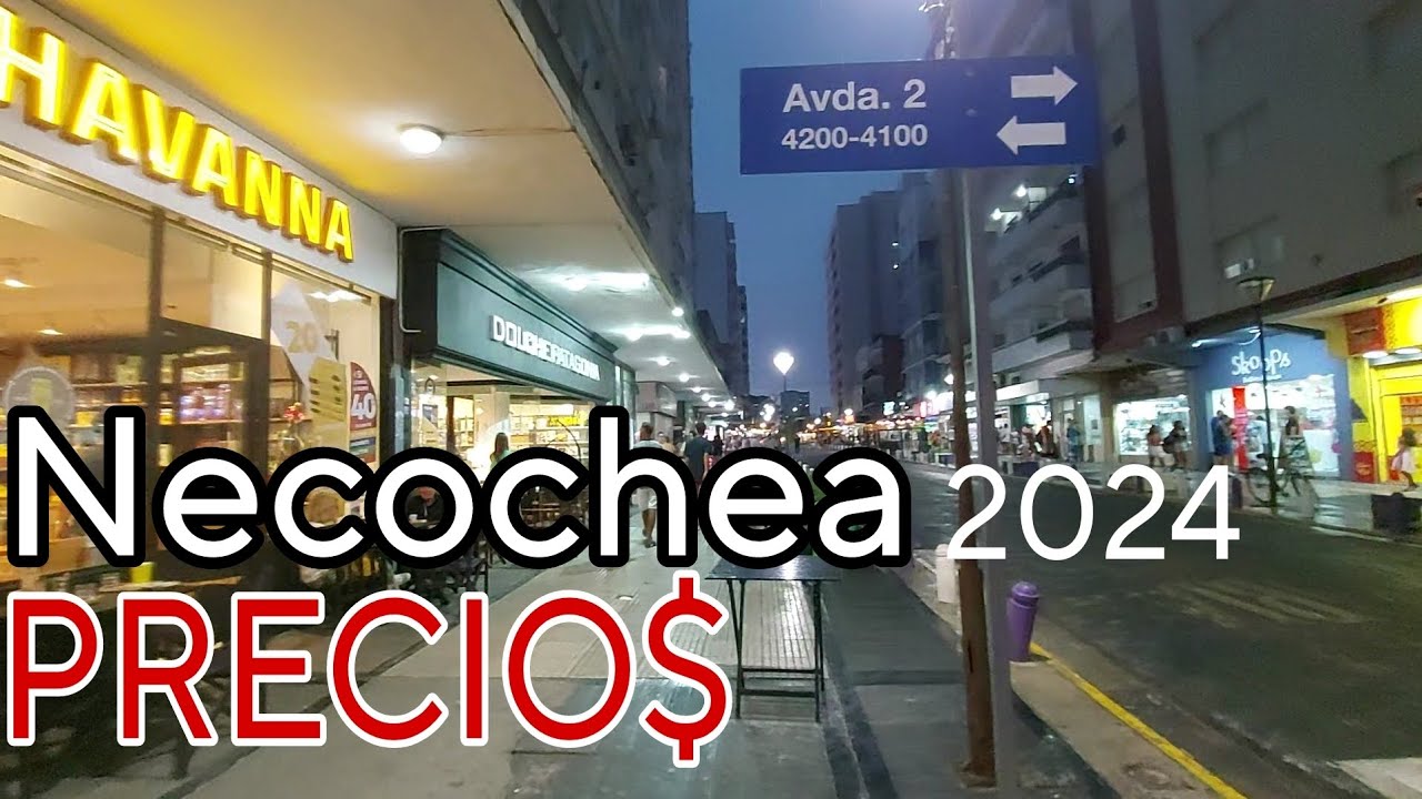 Precios NECOCHEA $$ Cuanto traer para Gastar?! Vacaciones 2024 recorriendo