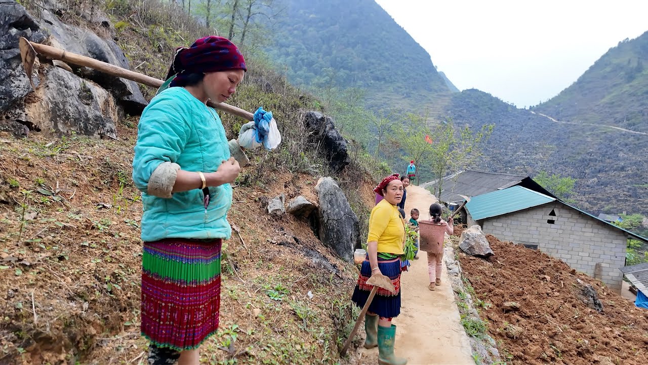 Bất ngờ trở lại Há Đề thăm bà con mùa Giáp Hạt đi làm thuê hết . Thào Mí Linh 