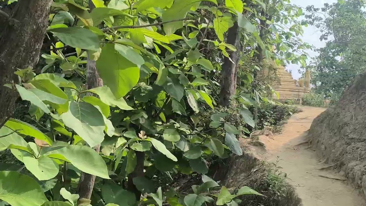 মহেশখালী পাহাড়
