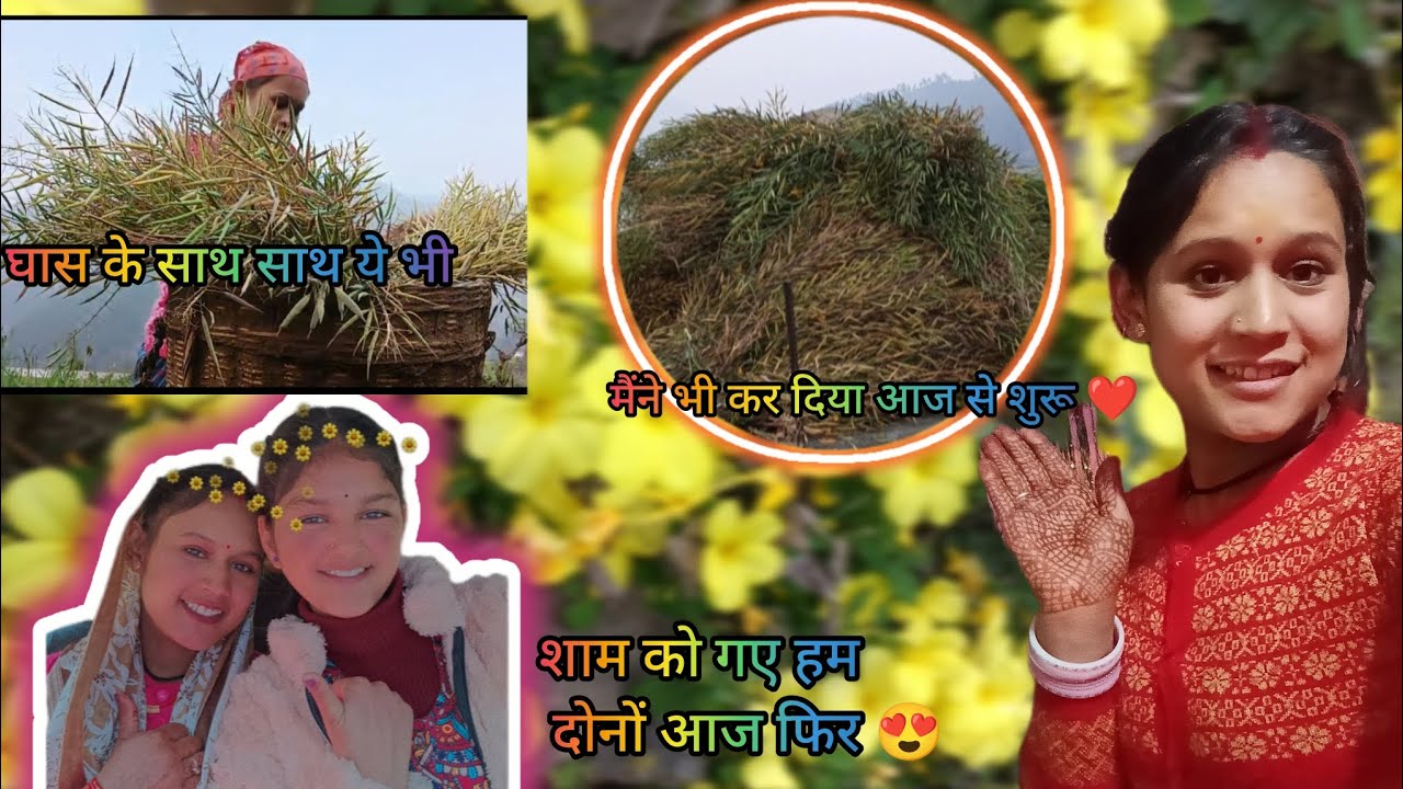मैंने भी कर दिया आज से शुरू॥🥰#phadi Life Style vlog 😍@AlkaPharswan 