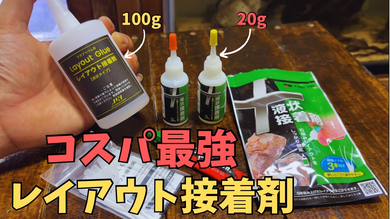 ティッシュペーパーで接着できるコスパ最強レイアウト接着剤！　＃アクアリウム