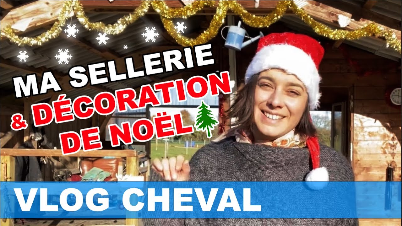 [VLOG CHEVAL] Morning routine de Noël