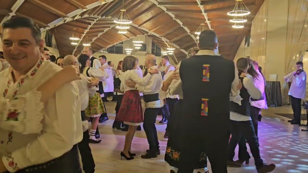 Daniel Pop - Verjelul din Dănești