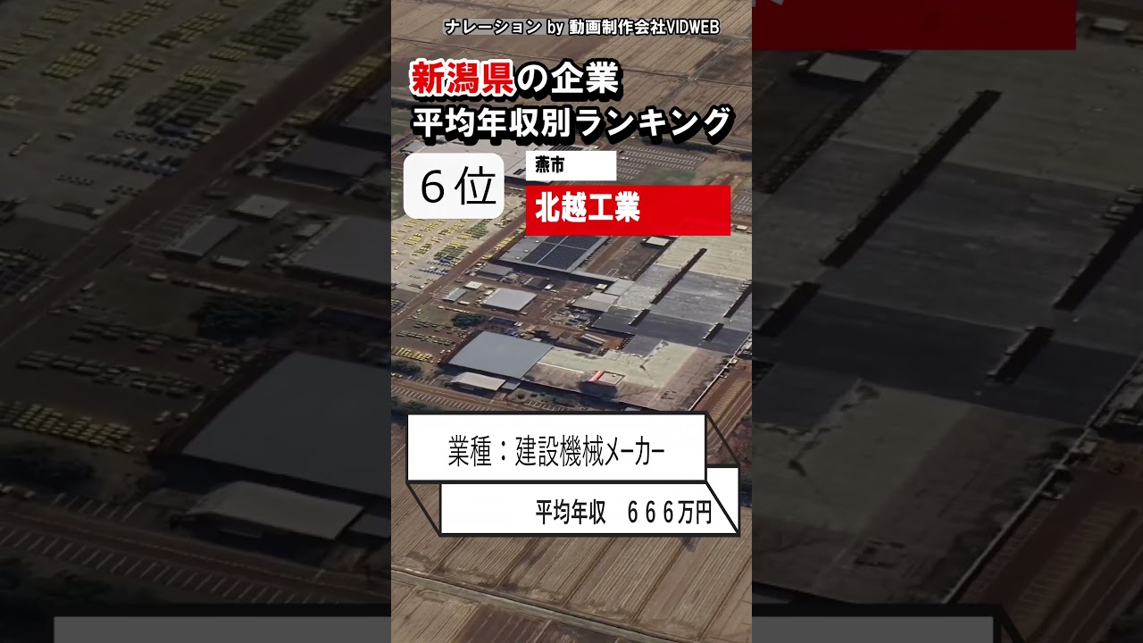 【2025年最新】新潟県の平均年収が高い勝ち組企業ランキングTOP10社【空から見る】 #平均年収 #年収 #年収ランキング