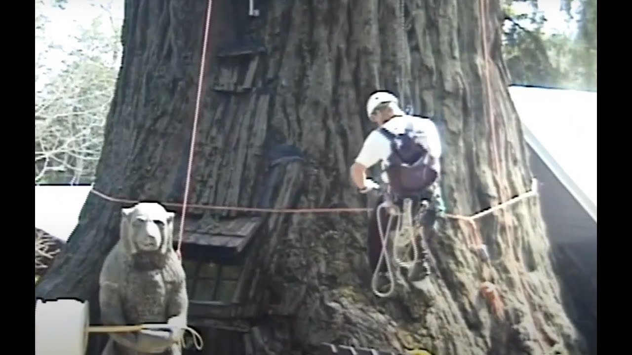 Jerry Beranek's Treehouse Project