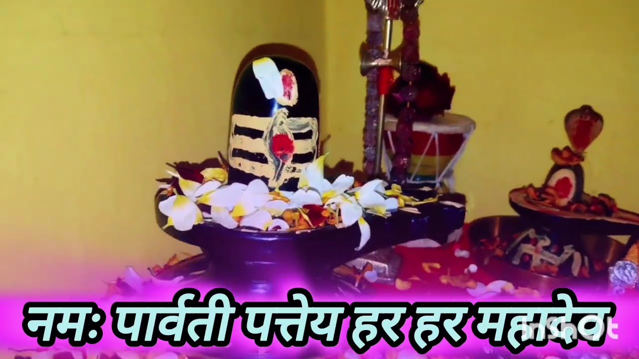 25 जनवरी माघ रविवार सप्तमी तिथि के दिन 11 गेंहू के दाने वाला उपाय जरुर करे || Pradeep Ji Mishra