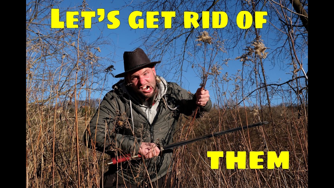 Are invasive species a problem in your country? Ep.6