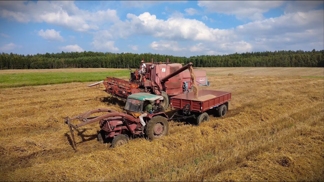 Podsumowanie Żniw 2025!! Koszenie + Prasowanie Duża Kostka/  Bizon Z056 / Claas Compact/ Steyr 9145