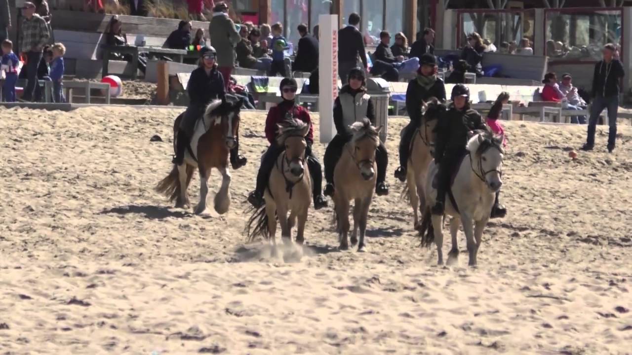 Strandrit Scheveningen
