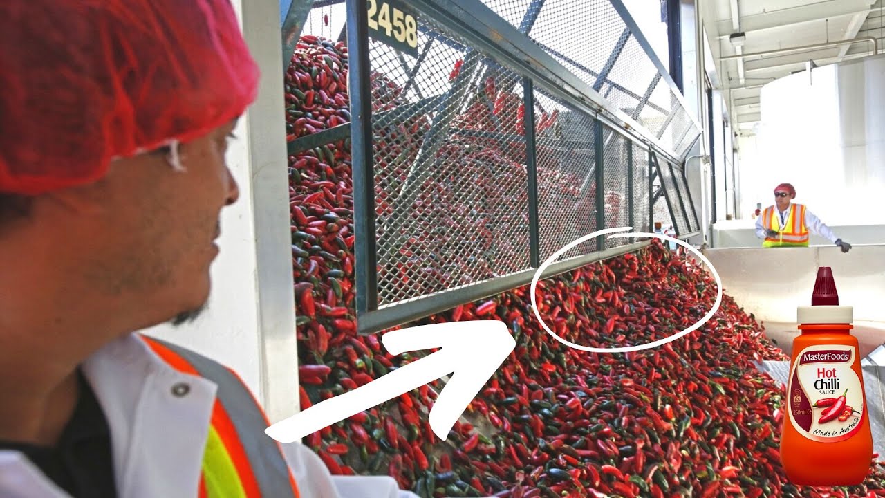 How Chili Sauce is made in Factory? | Most Interesting Manufacturing Processes!!!