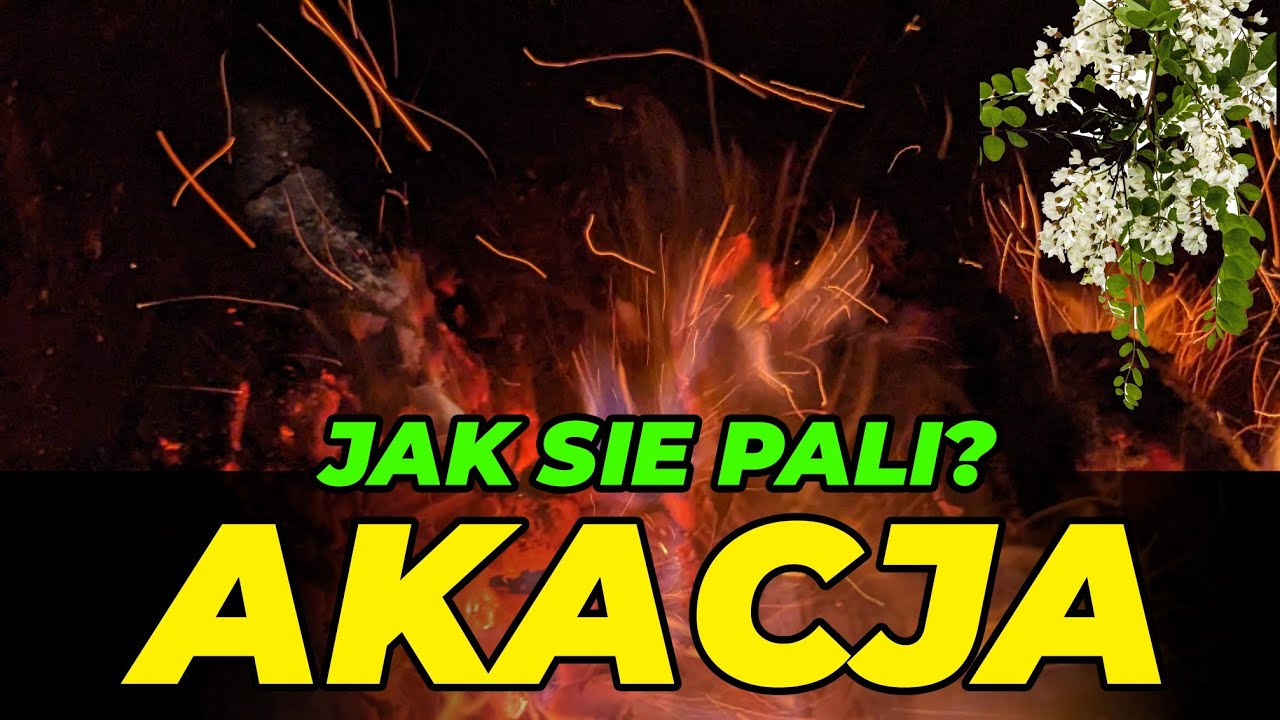 🔥 Jak się pali akacja? Sprawdzamy❗ Ile popiołu z Orzech Marcel PGG  🔗 Robinia akacjowa