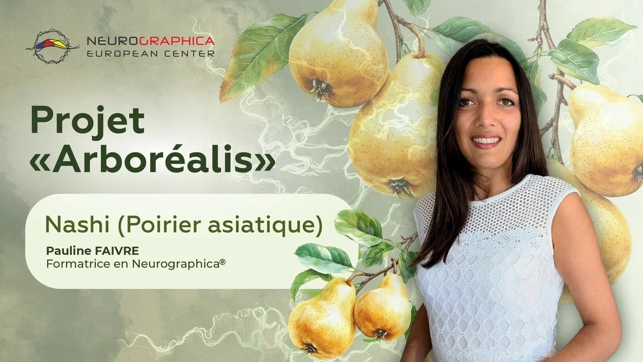 Arboréalis. Nashi (Poirier asiatique)
